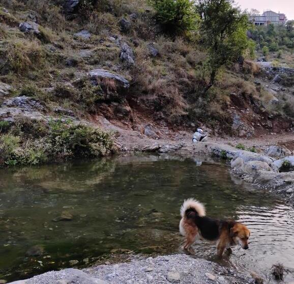 ホテル Rivulet Resort & Camping