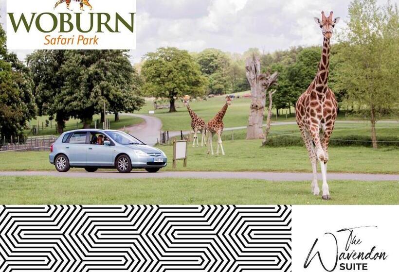 Отель The Almshouse Suites