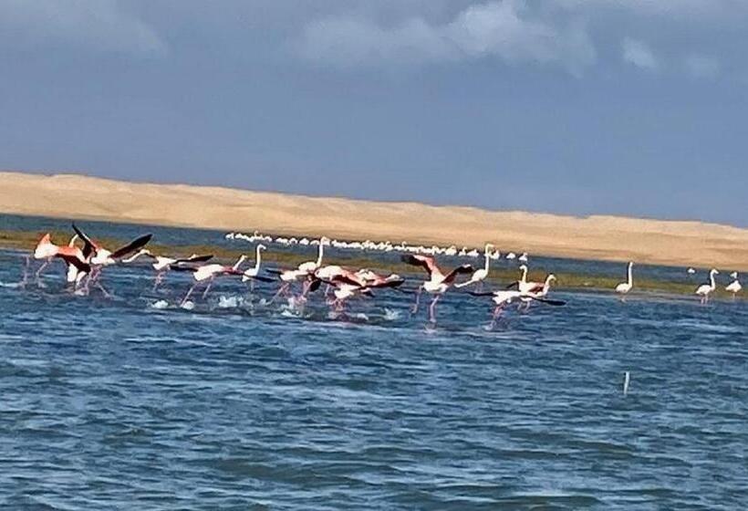 پانسیون La Courbine D Argent