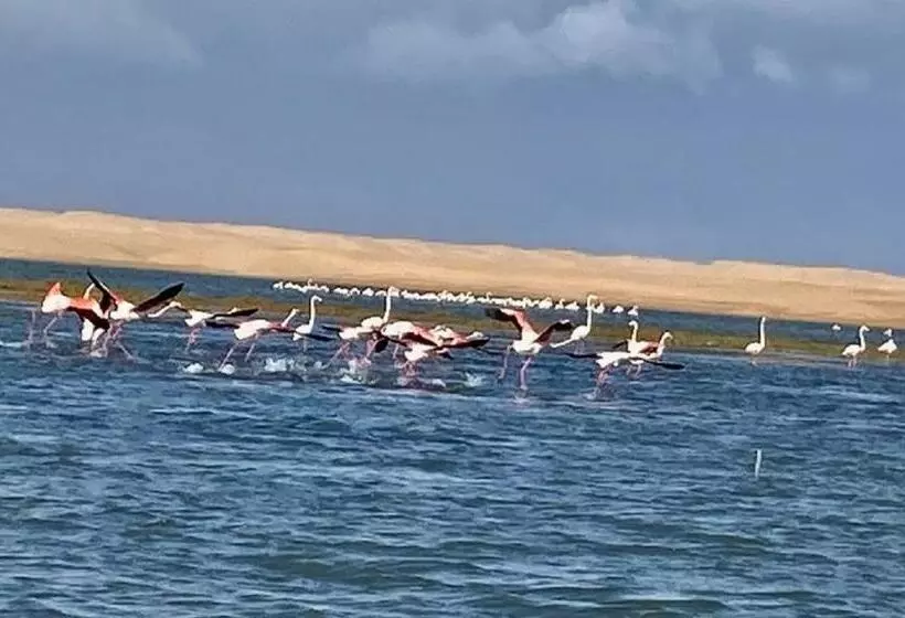 Majatalo La Courbine D Argent