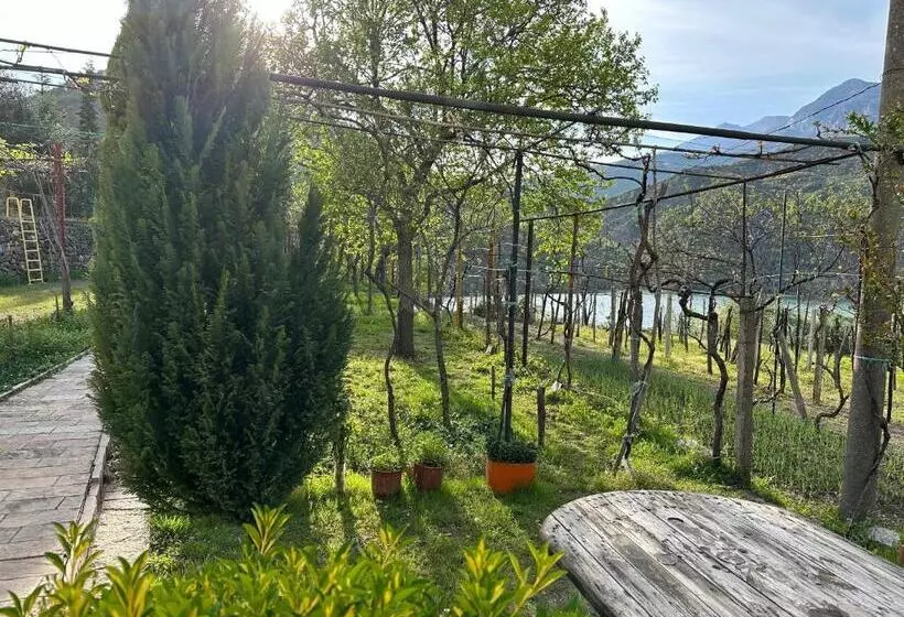 ペンション Lakeview Escape Koman