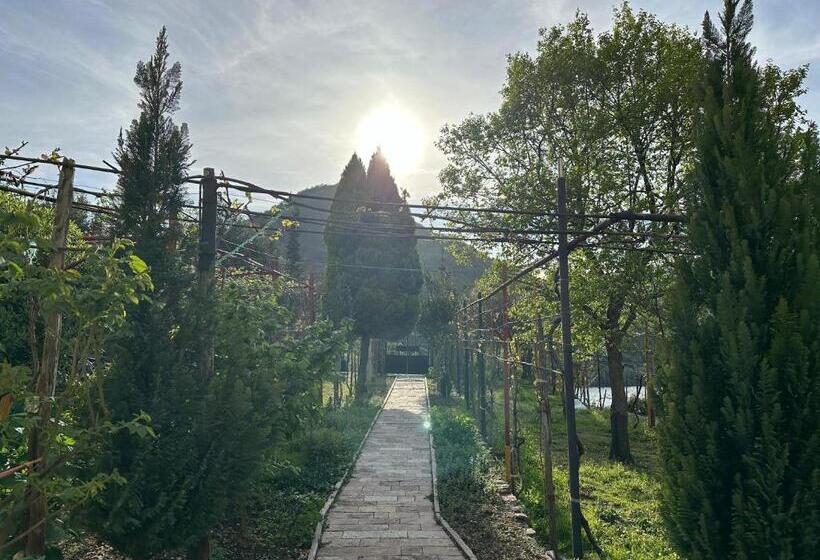 Pensão Lakeview Escape Koman