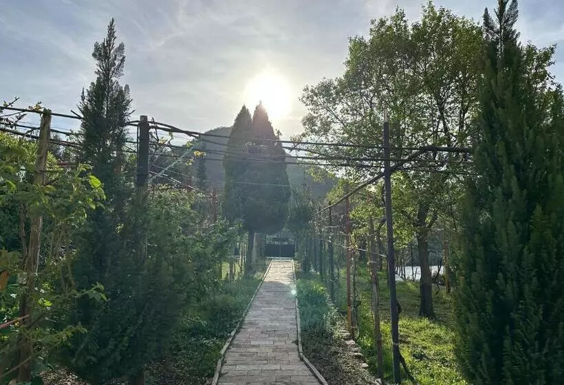 ペンション Lakeview Escape Koman