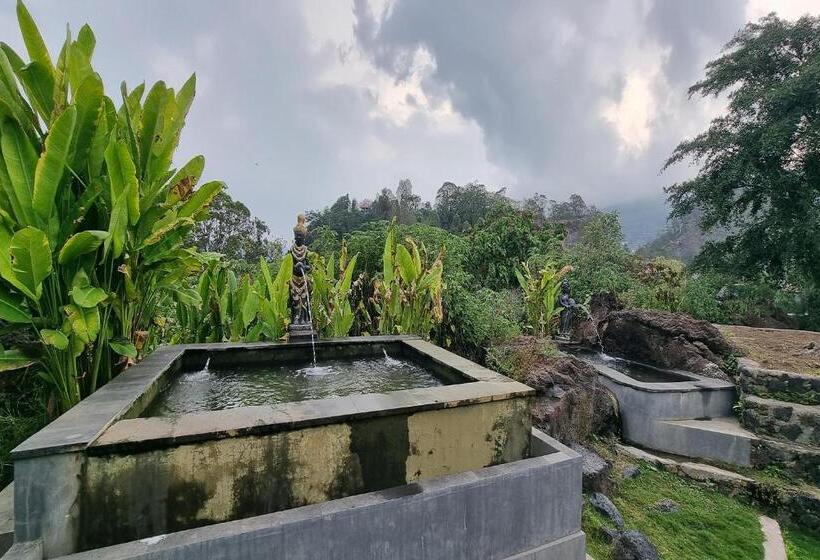 膳宿费 Onion Garden And Natural Hotspring