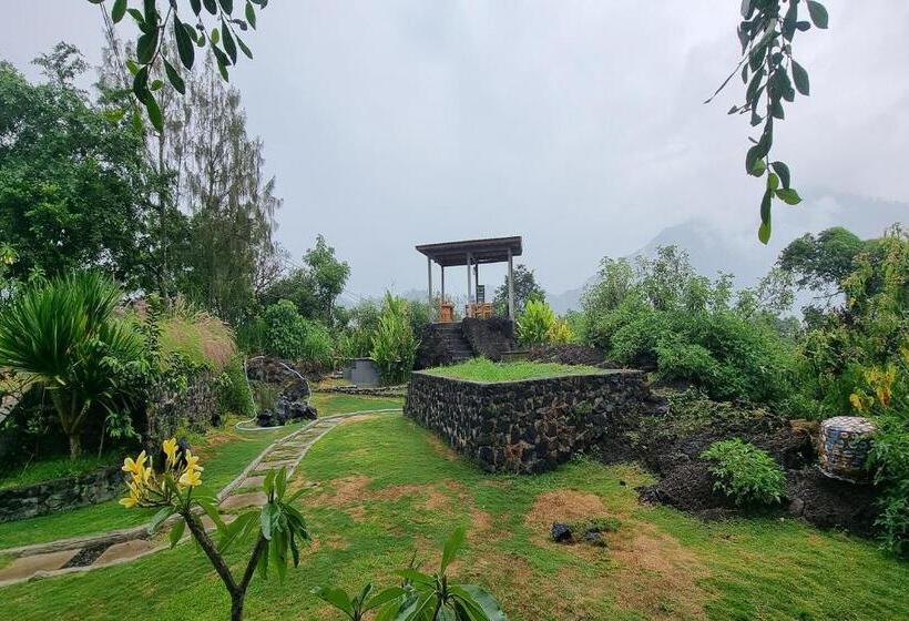 膳宿费 Onion Garden And Natural Hotspring