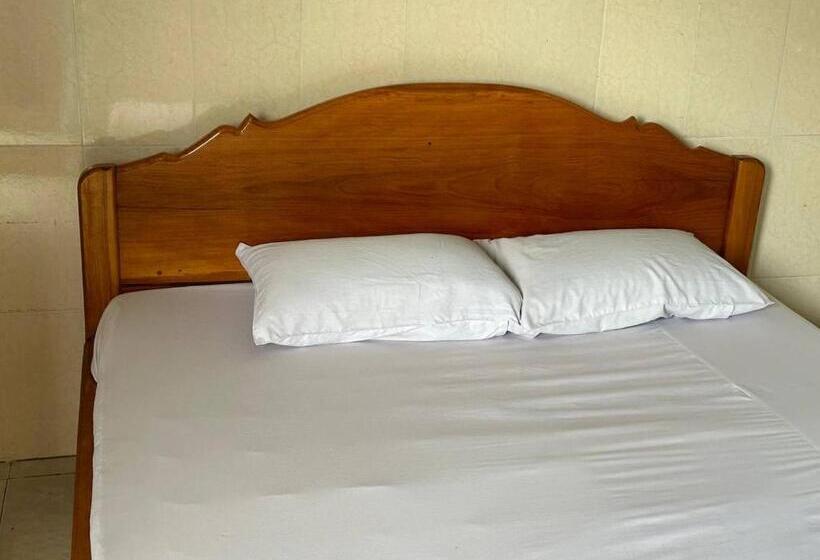 پانسیون Palm Tree Quest House