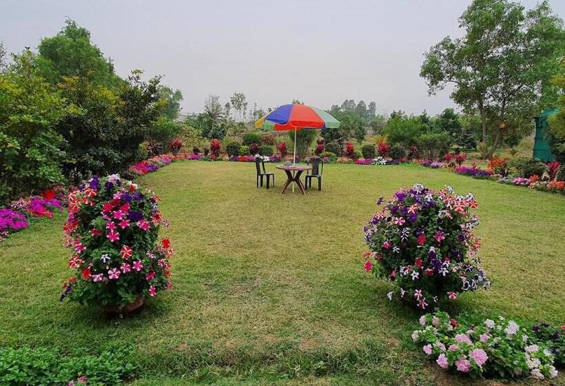 Отель The Red Soil Country