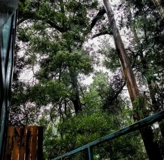 ホテル Woodside Bungalow1
