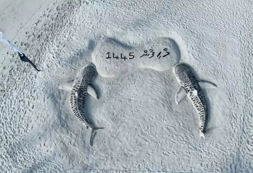 پانسیون Secret Escape