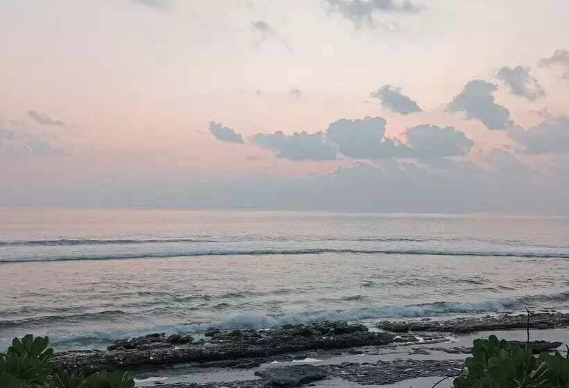 پانسیون Secret Escape