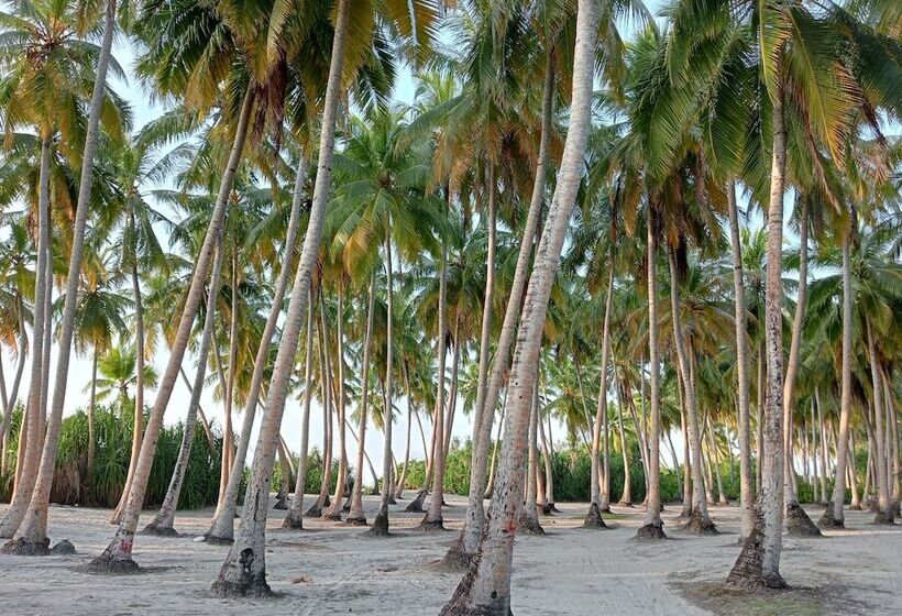 پانسیون Secret Escape