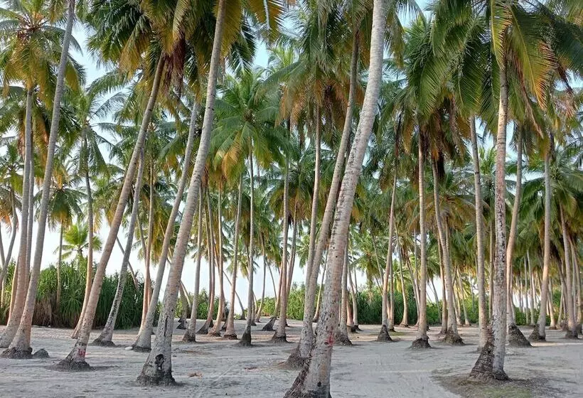 پانسیون Secret Escape