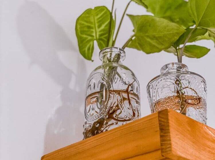 酒店 Pousada Caraíba