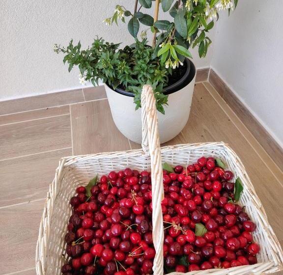 Aurora Bed And Breakfast