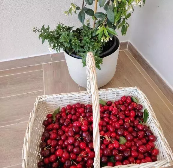 Aurora Bed And Breakfast