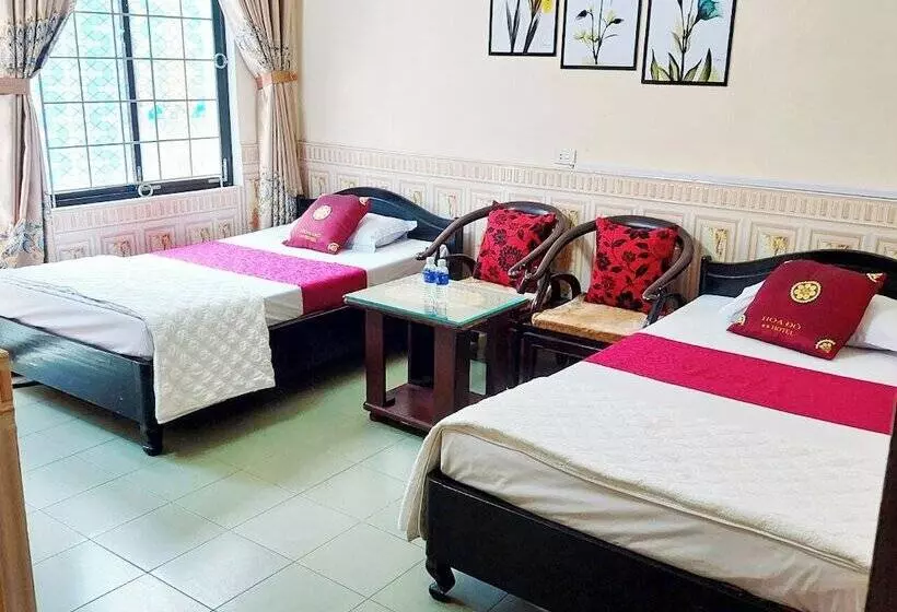 Hoa Do Hotel   Ha Tinh