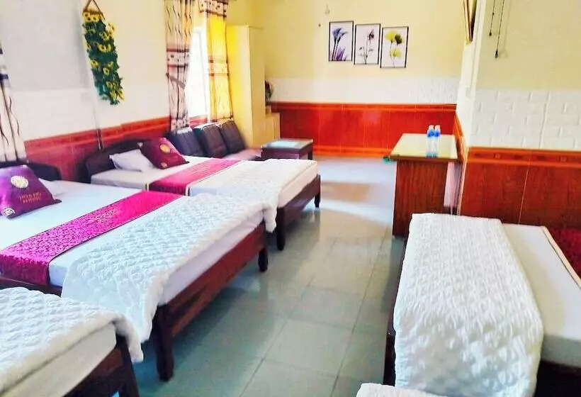 Hoa Do Hotel   Ha Tinh