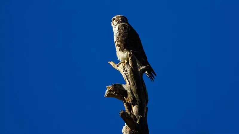 Hotelli Vista Del Rio Lodge