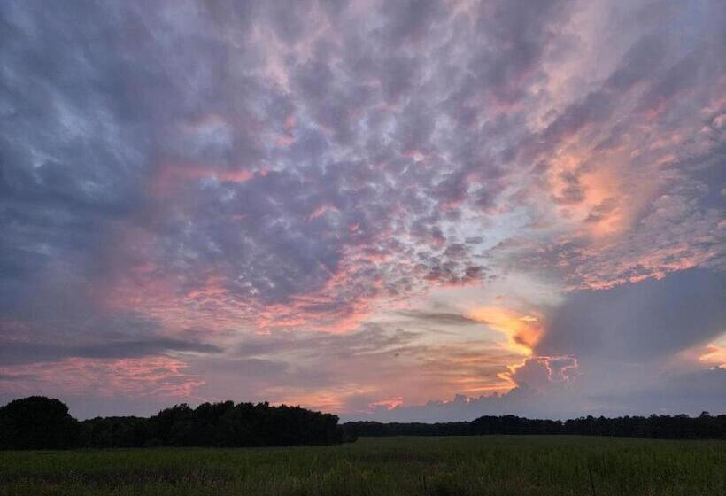 Josephine S Bed & Breakfast