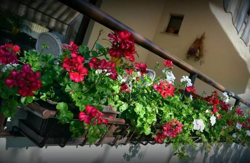 B&b La Betulla
