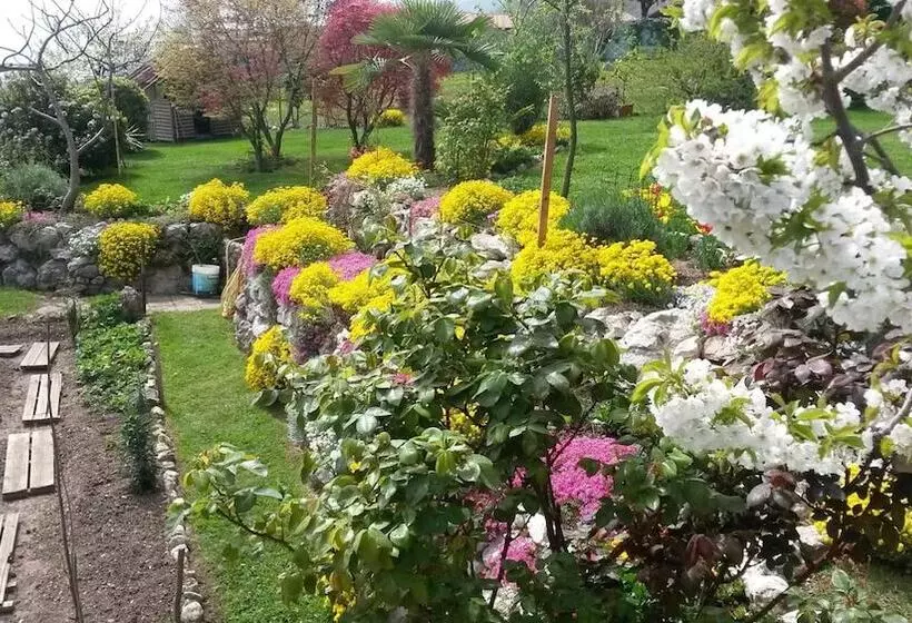 B&b La Betulla