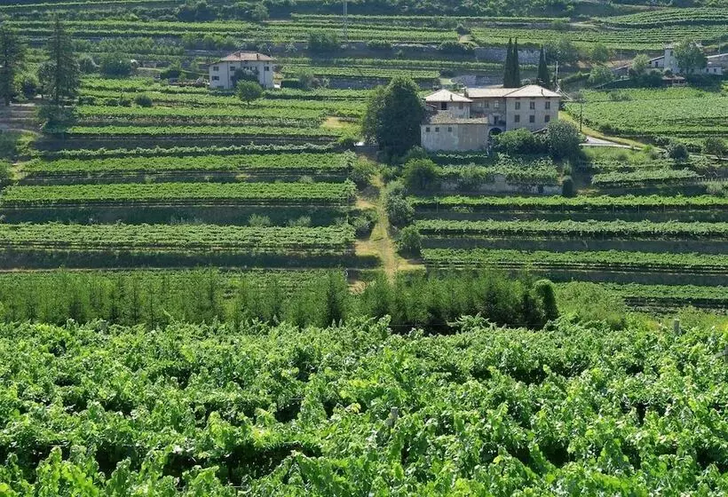 B&b La Betulla