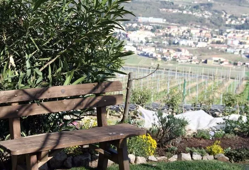 B&b La Betulla