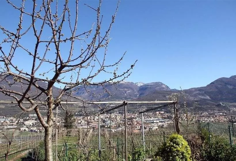 B&b La Betulla