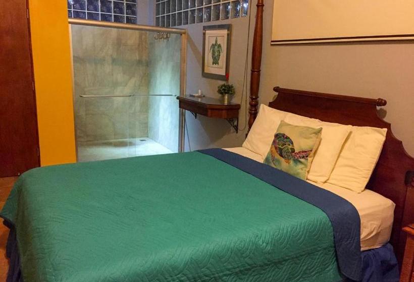 تختخواب و صبحانه Parador Turtle Bay Inn