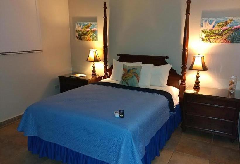 تختخواب و صبحانه Parador Turtle Bay Inn