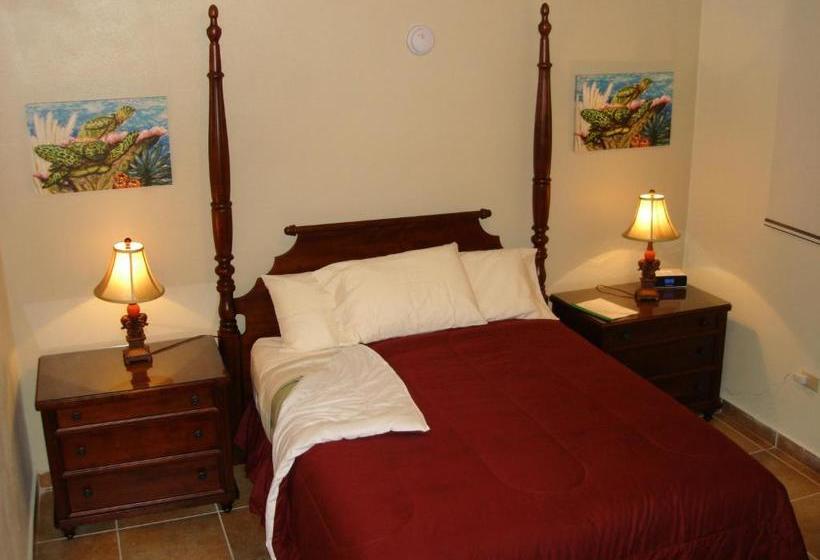 تختخواب و صبحانه Parador Turtle Bay Inn