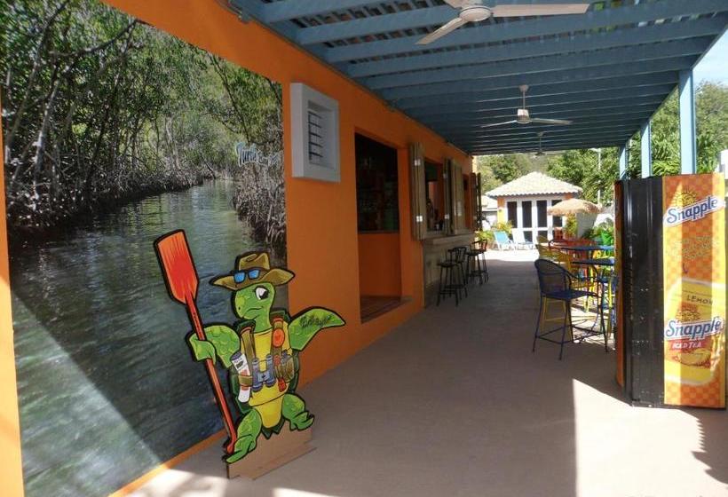 تختخواب و صبحانه Parador Turtle Bay Inn