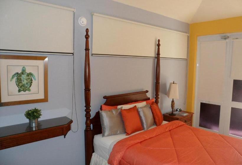 تختخواب و صبحانه Parador Turtle Bay Inn