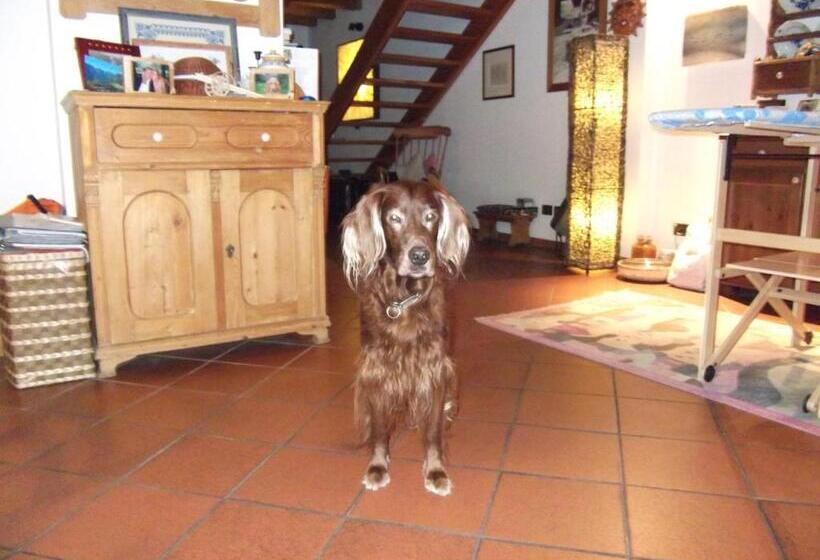 민박 Room & Breakfast Cà Mea Dina