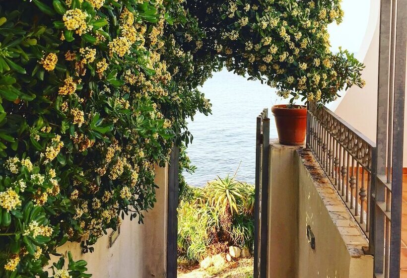 مبيت وإفطار Villa Grachira