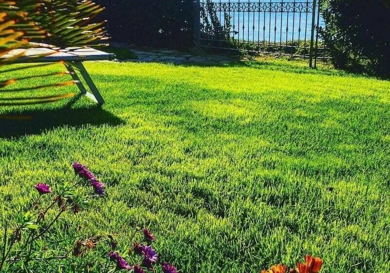 مبيت وإفطار Villa Grachira