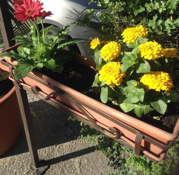 Отель 4 Lampioni