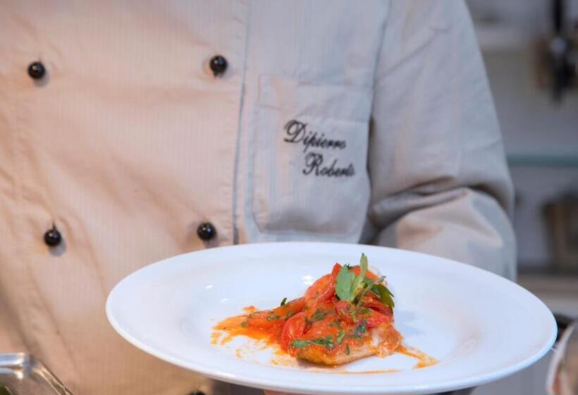 בית מלון כפרי Ambassador