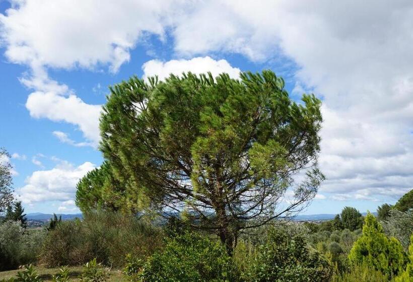 ホテル Casa Lucia In Chianti