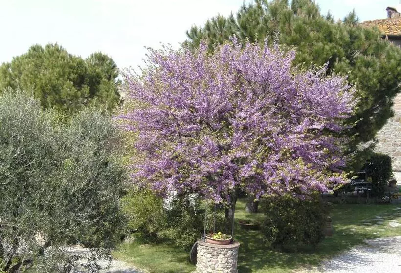 ホテル Casa Lucia In Chianti