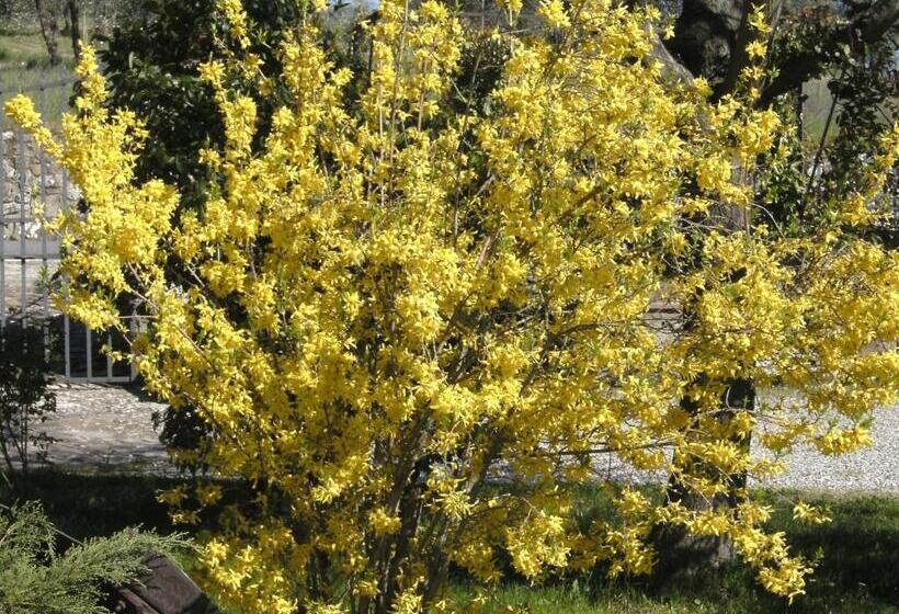 ホテル Casa Lucia In Chianti