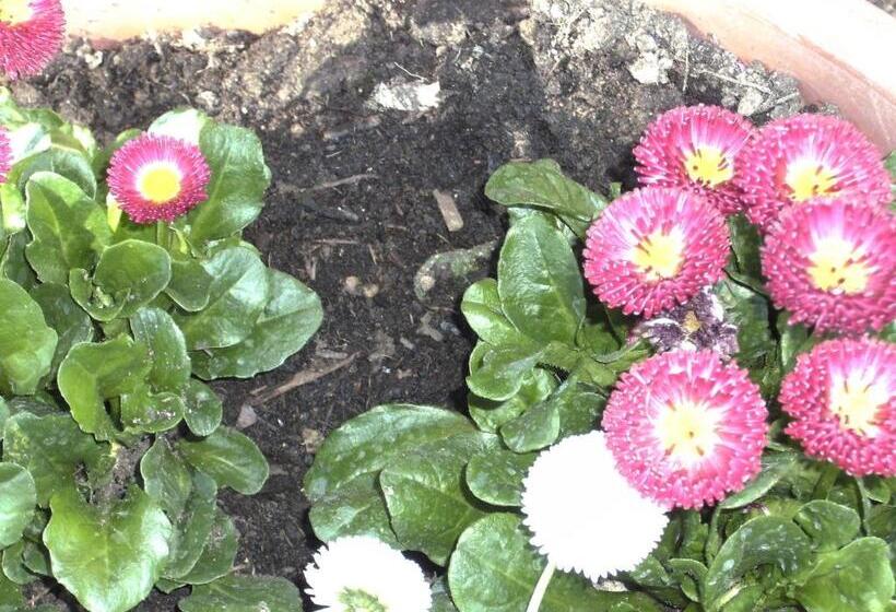 ホテル Casa Lucia In Chianti