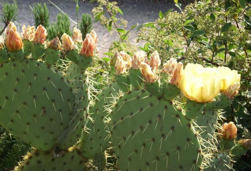 ホテル Casa Lucia In Chianti