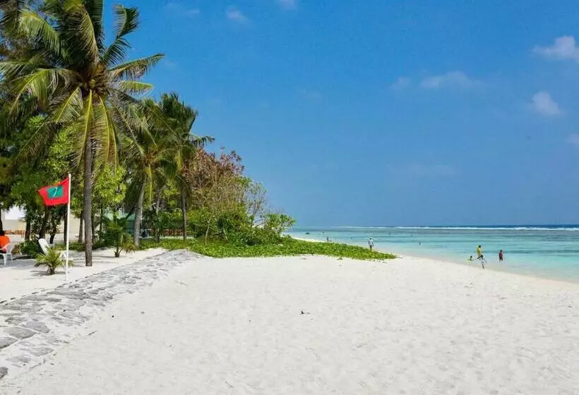 هتل Coconut Tree Hulhuvilla Beach