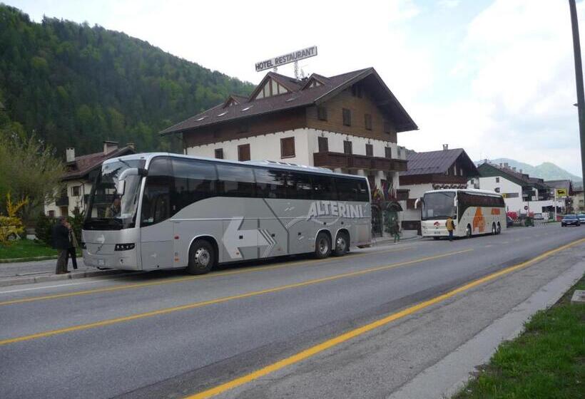 בית מלון כפרי International