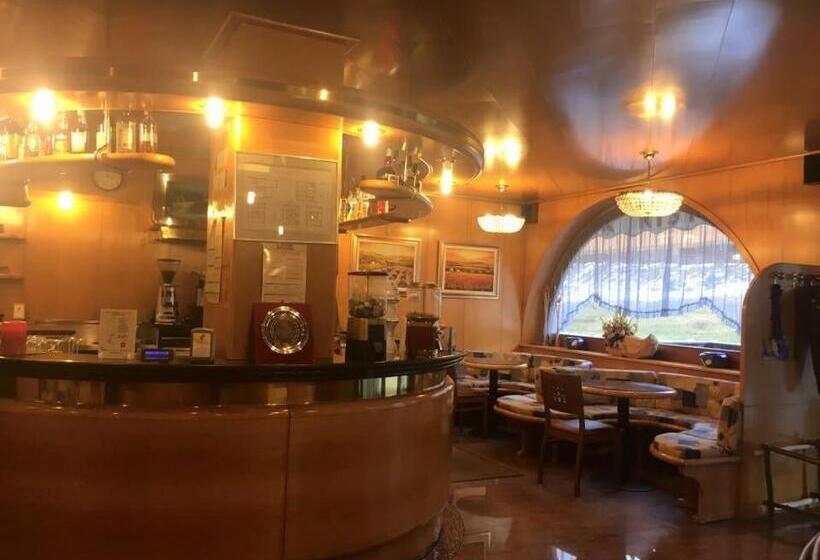 בית מלון כפרי International