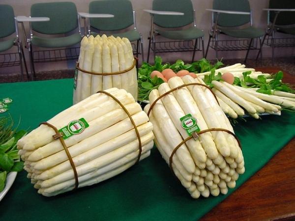 酒店 Ristorante Al Bassanello