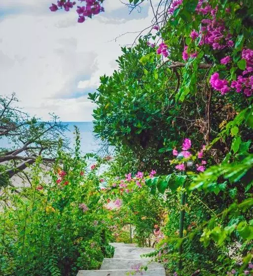 هتل Sakouli