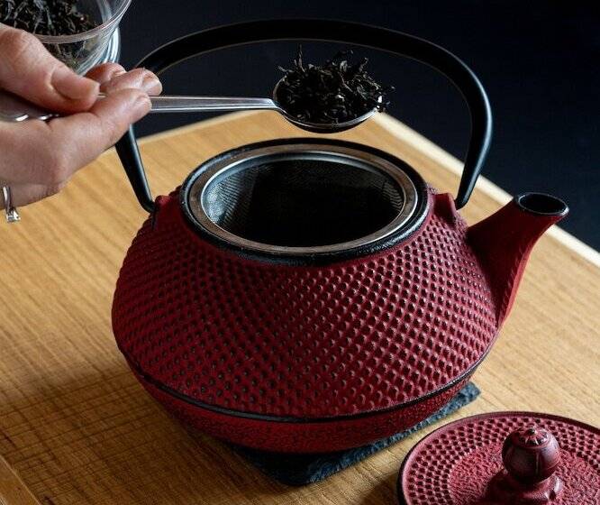 Latemar   Hotel Suites Spa