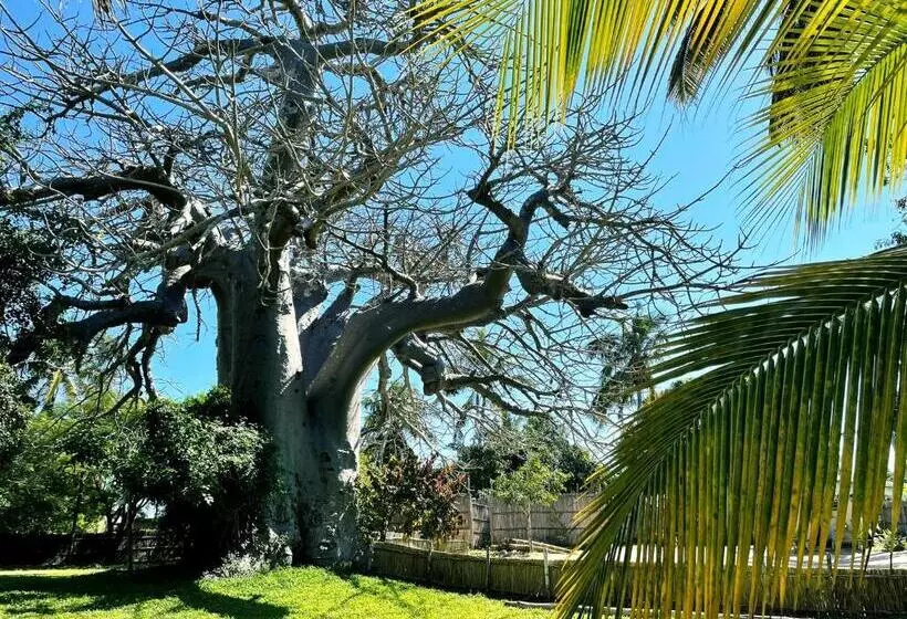 リゾートホテル Baobab Beach Vilanculos